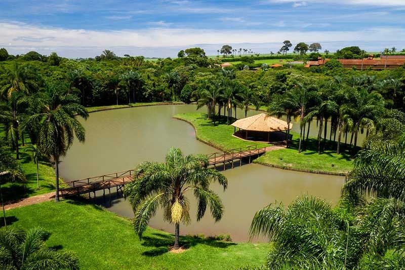 Terreno em Condom�nio - Venda - Fazenda Santa Maria - Cravinhos - SP