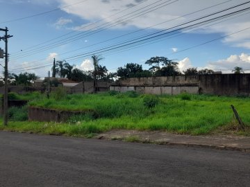 Terreno na Ribeirnia