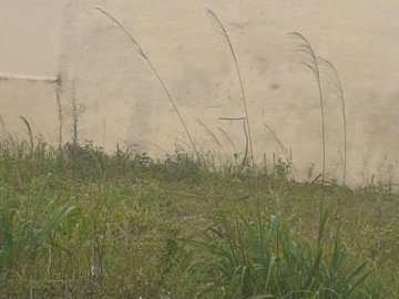 Terreno no Jardim Zara